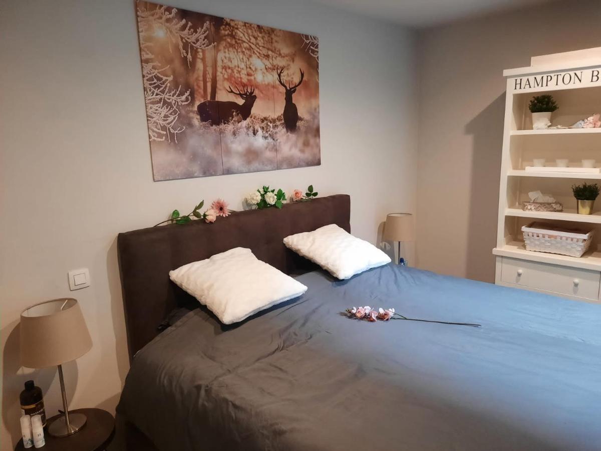 Lectus Iv Appartement